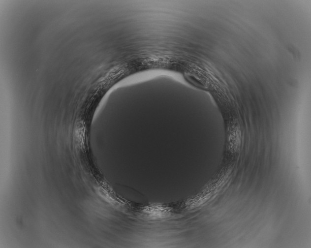 X0000112000231200908241440