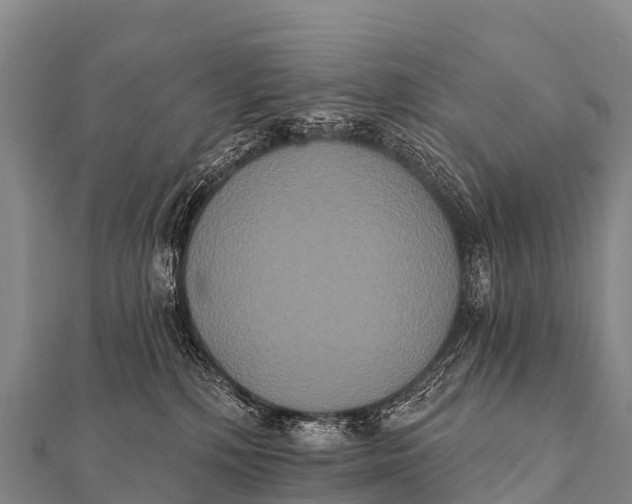 X0000112000232200908241440