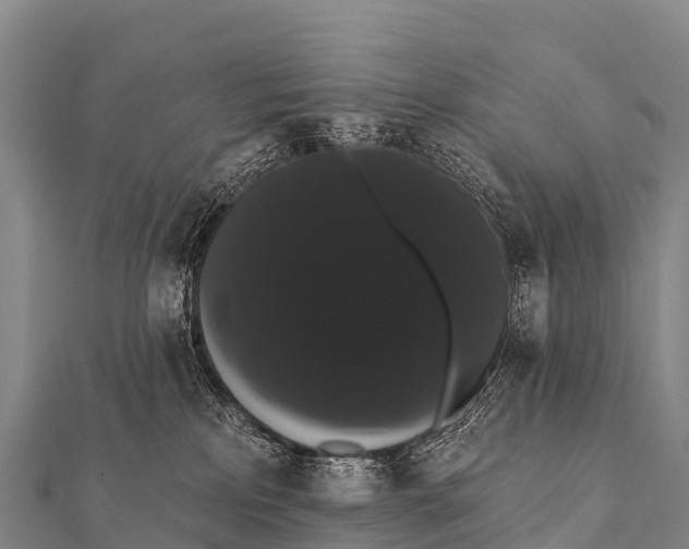 X0000112000233200908241440