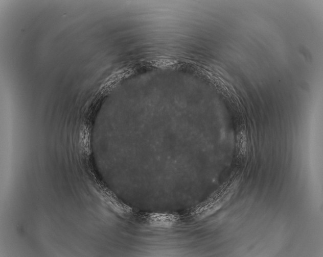 X0000112000234200908241440