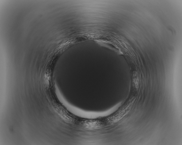 X0000112000235200908241440