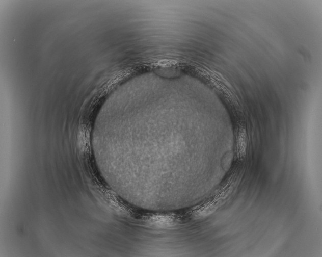 X0000112000236200908241440