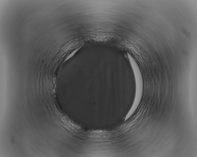 X0000112000237200908241440