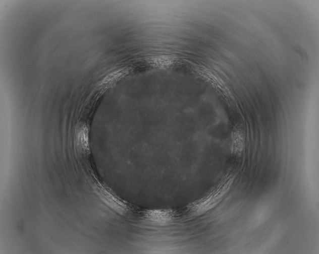 X0000112000238200908241440