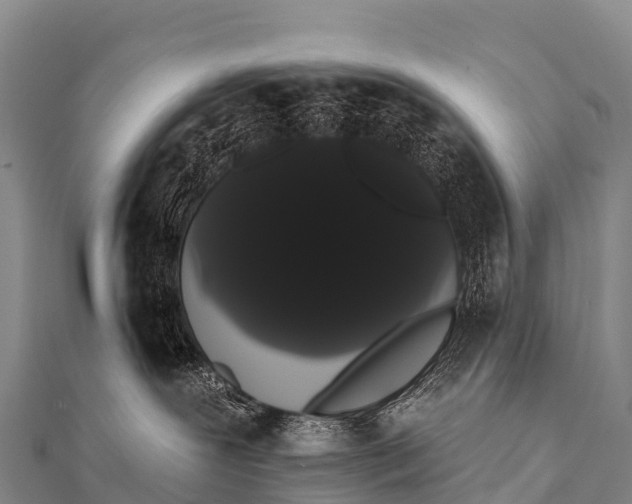 X0000112000239200908241440