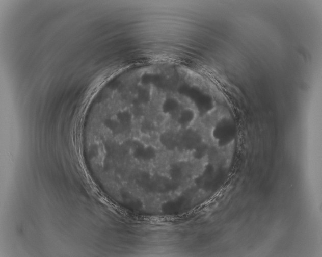 X0000112000241200908241439