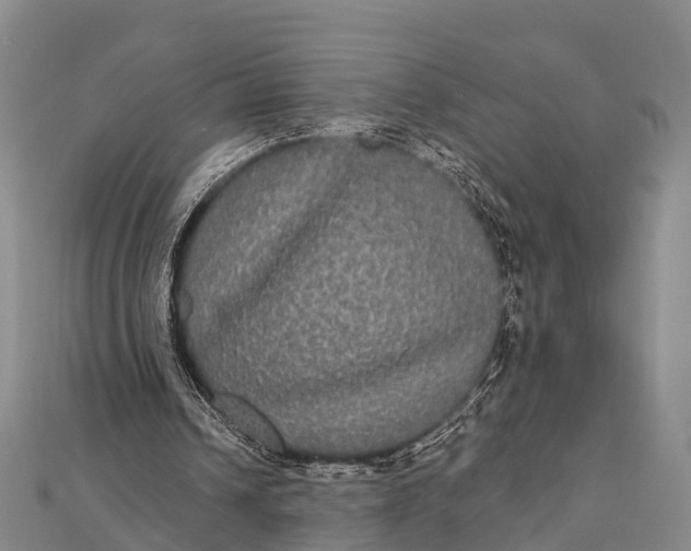 X0000112000242200908241439