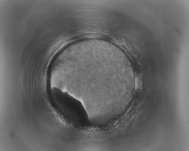 X0000112000243200908241439