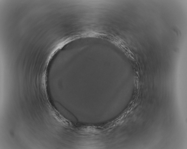 X0000112000244200908241439