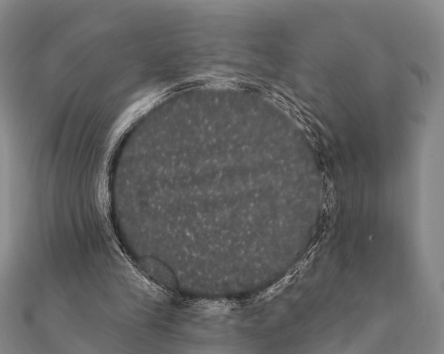 X0000112000245200908241439