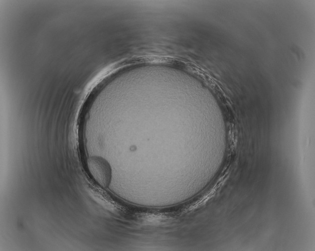 X0000112000246200908241439