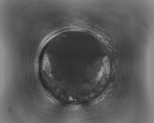 X0000112000247200908241439