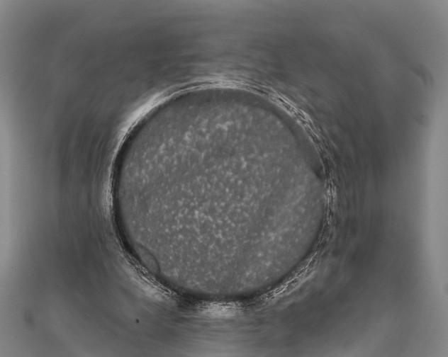 X0000112000248200908241439