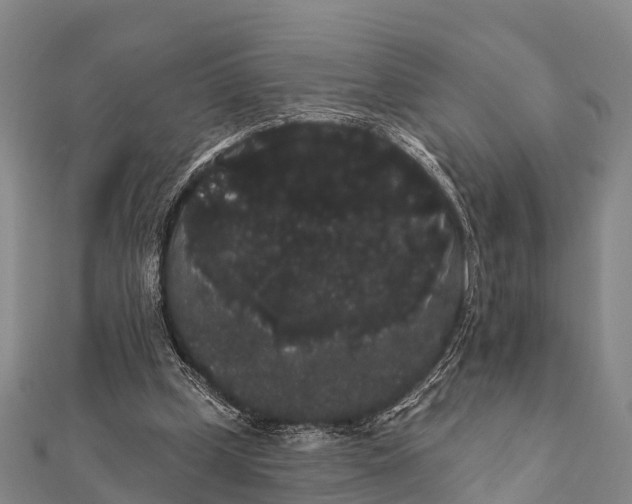 X0000112000249200908241439