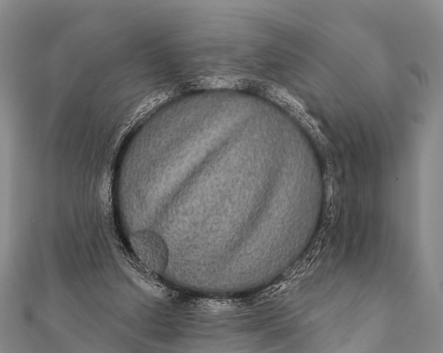 X0000112000250200908241439