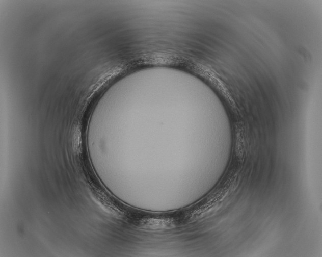 X0000112000251200908241439