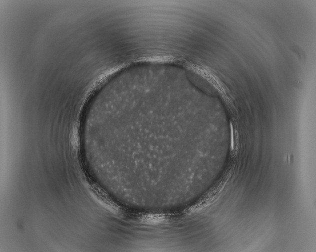 X0000112000252200908241439