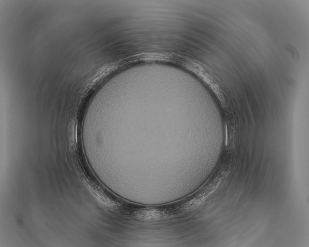 X0000112000253200908241439