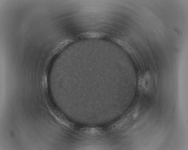 X0000112000254200908241439