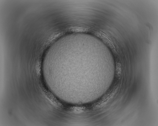 X0000112000255200908241439