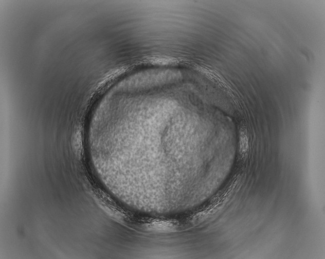 X0000112000256200908241439