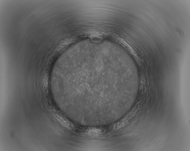 X0000112000257200908241439