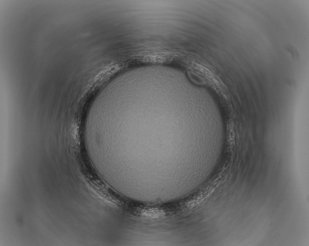 X0000112000258200908241439