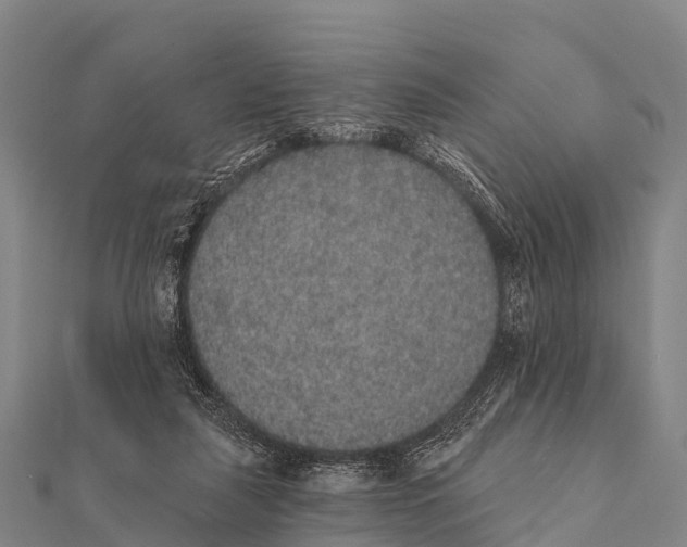 X0000112000259200908241439