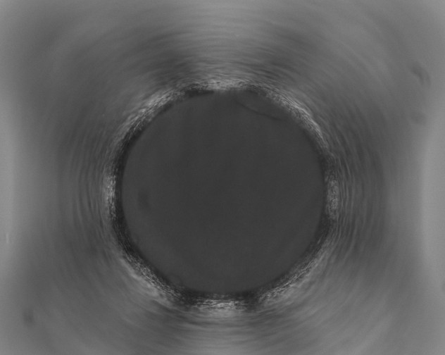 X0000112000260200908241439