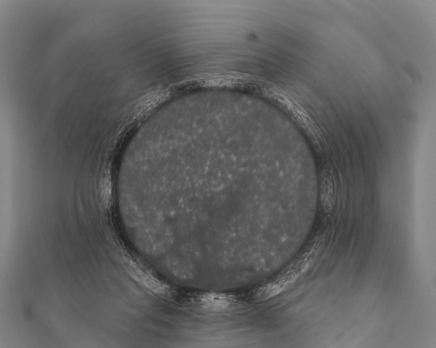 X0000112000261200908241439