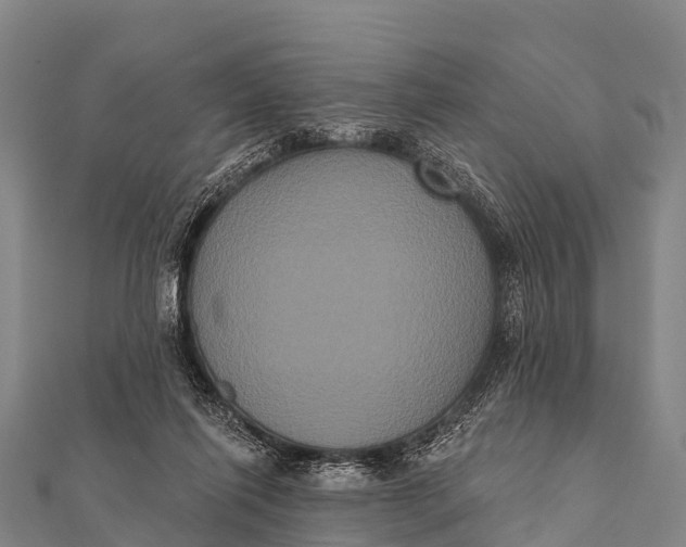 X0000112000262200908241439