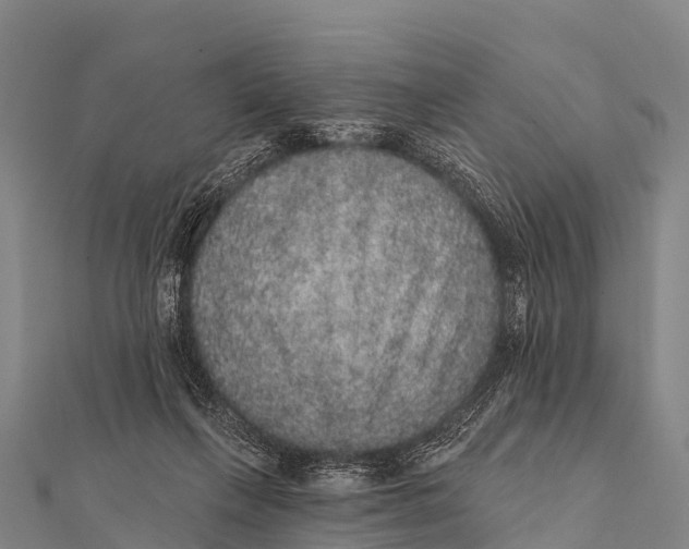 X0000112000263200908241439