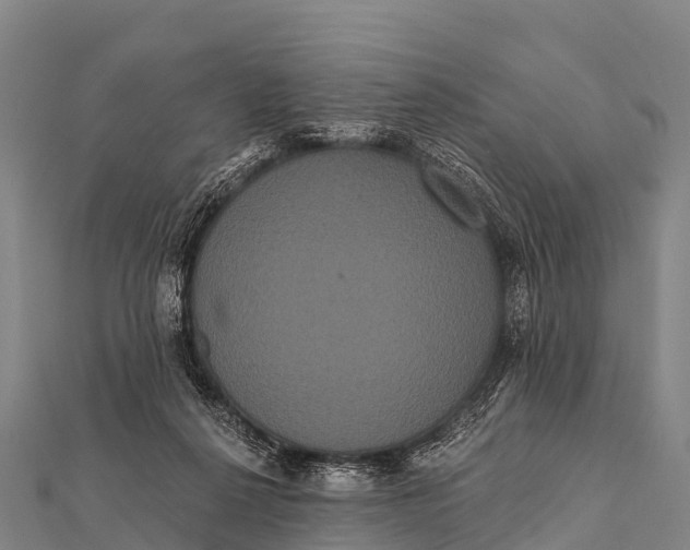 X0000112000264200908241439