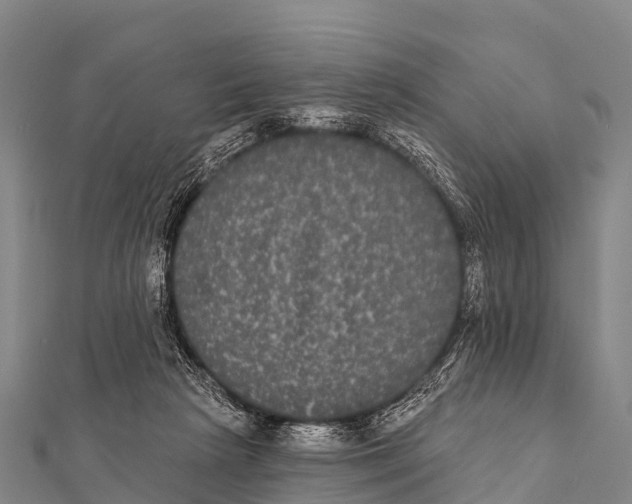 X0000112000265200908241439