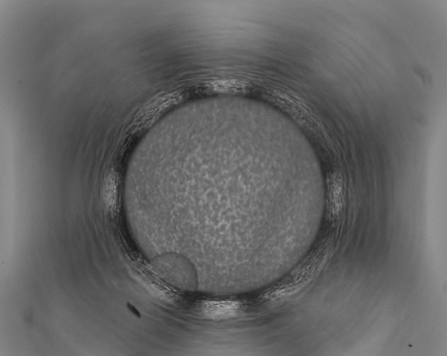 X0000112000266200908241439