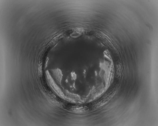 X0000112000267200908241439