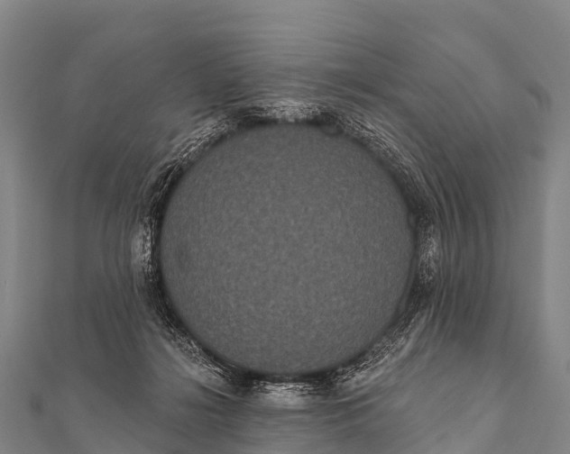 X0000112000268200908241439