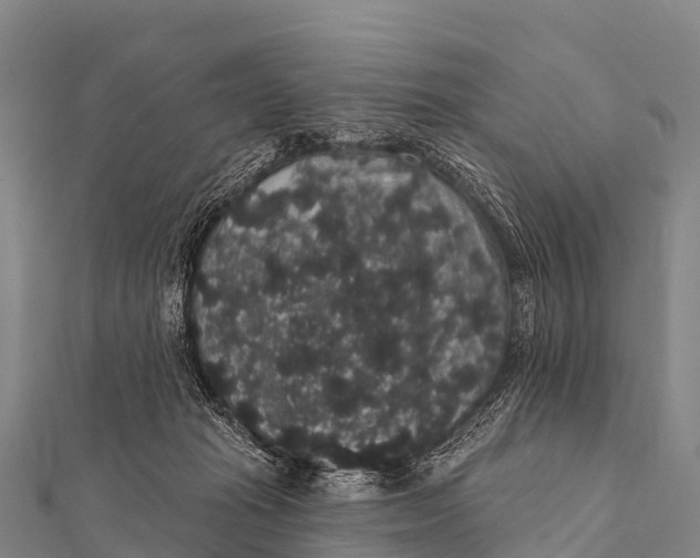 X0000112000269200908241439