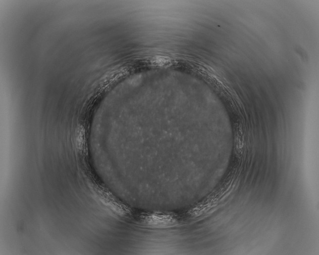 X0000112000270200908241439