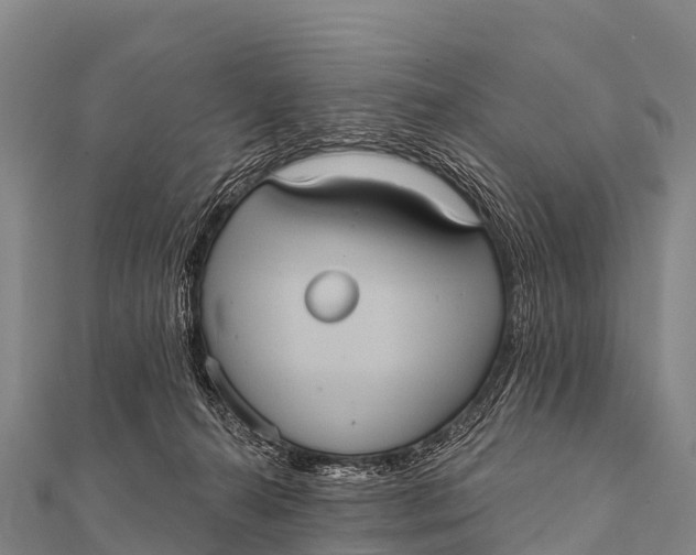 X0000112000272200908241439