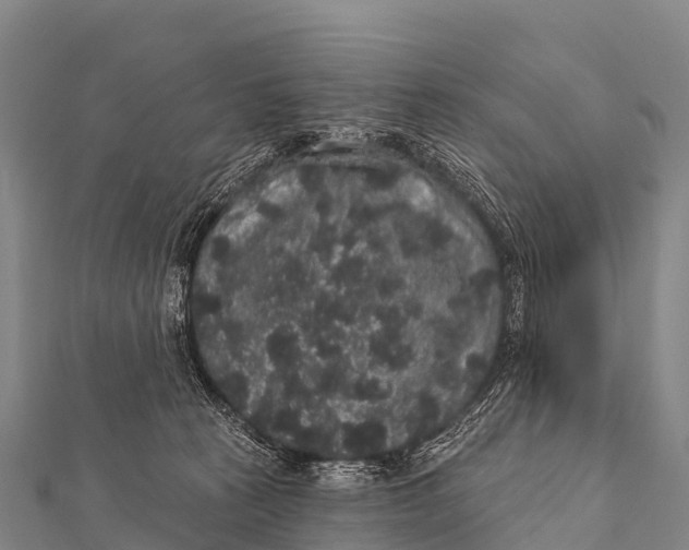 X0000112000273200908241439