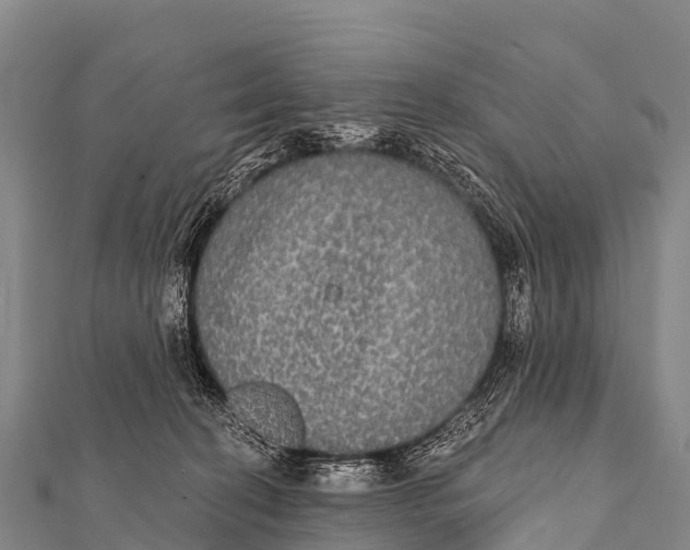 X0000112000274200908241439