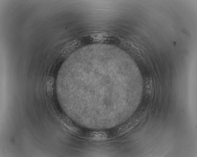 X0000112000275200908241439