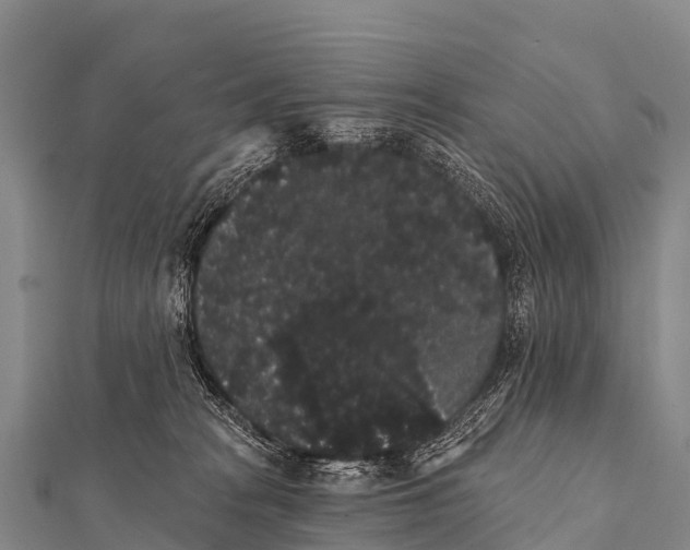 X0000112000277200908241439