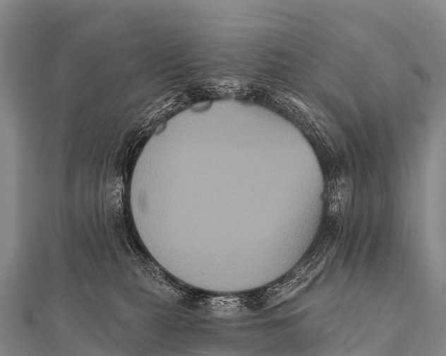 X0000112000279200908241440