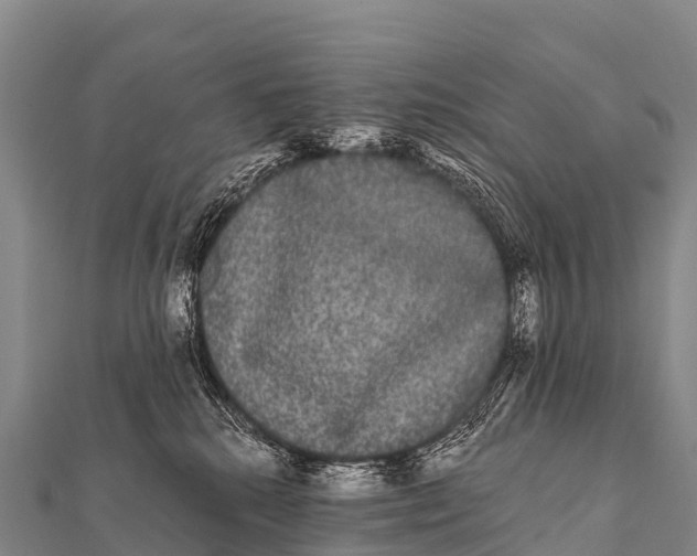 X0000112000280200908241440