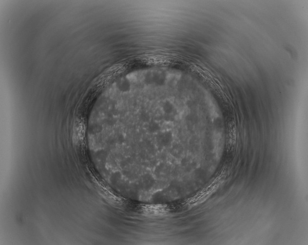 X0000112000281200908241440