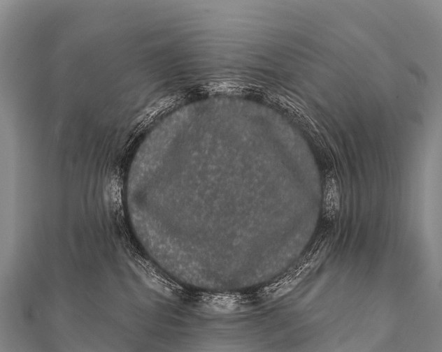 X0000112000282200908241440