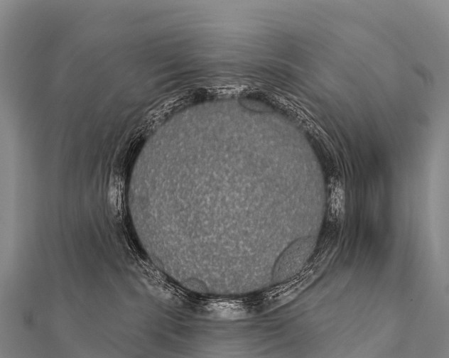 X0000112000283200908241440