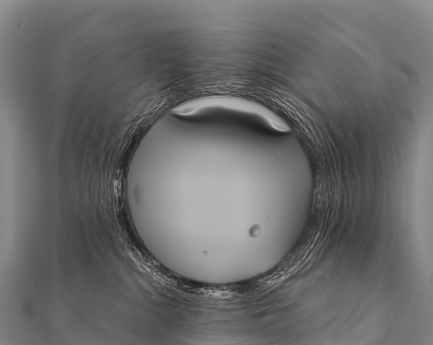 X0000112000284200908241440